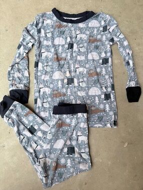 Polar Pals Long Sleeve 2 Piece Bamboo Pajama set 2T